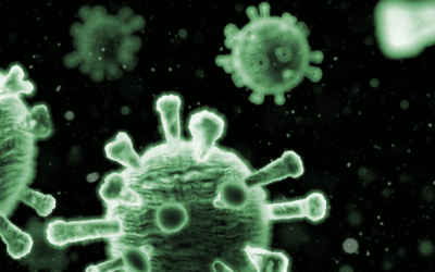 Peak Integration of Electropherograms in GMP and Research Labs: Navigating Increased Scrutiny Amid Data Integrity Audits and Inspections