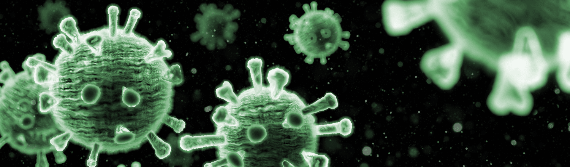 Landing page – option 2