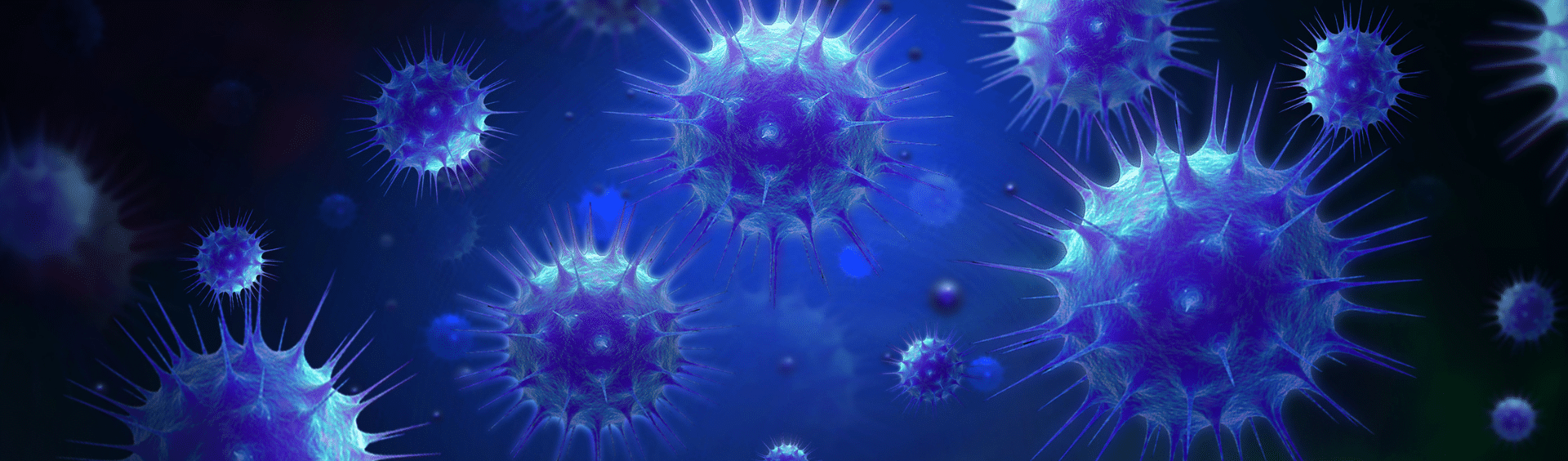 Landing page – option 28