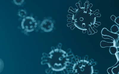 An Overview of Key Differences of the CMC Processes in Small-Molecule Drugs and Biotherapeutics