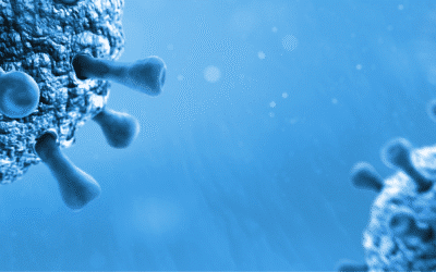 Translating small-molecule development to complex generics and biosimilars