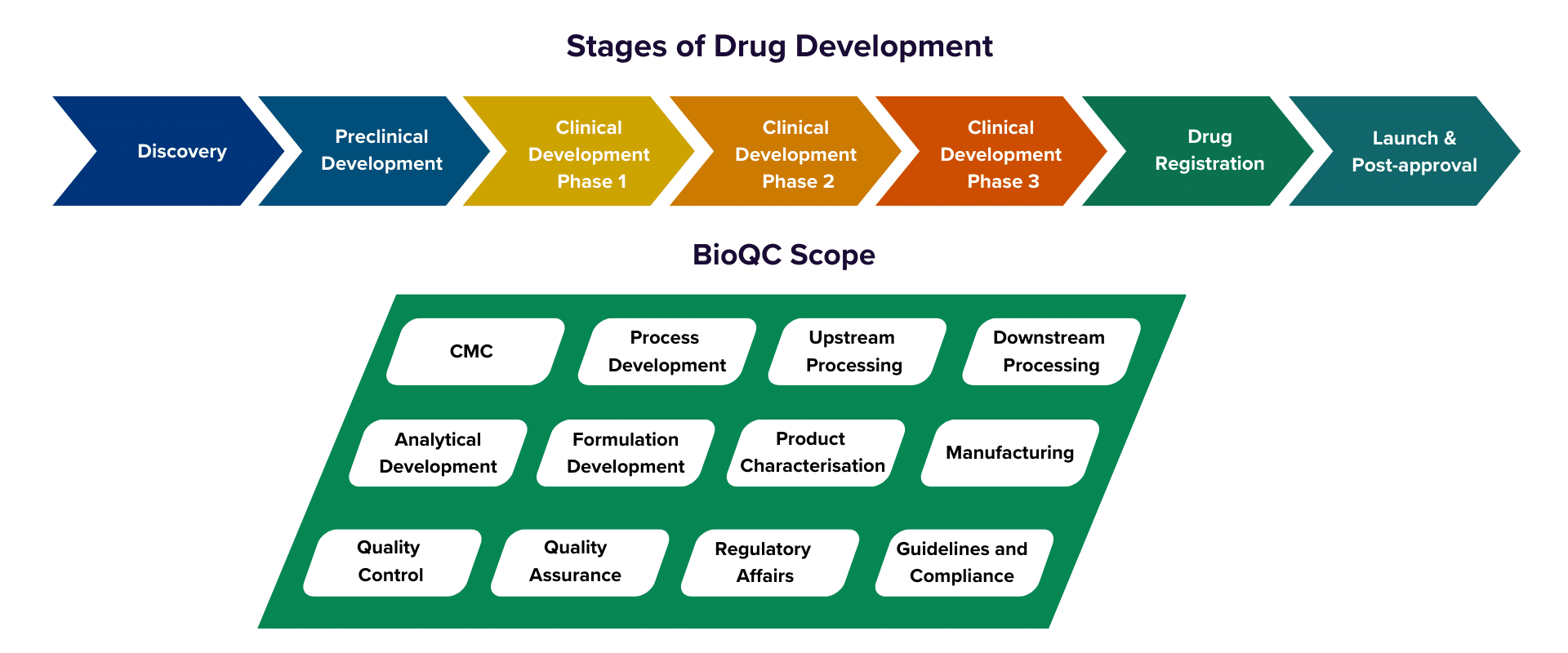 BioQC About Us