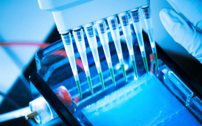 A Comprehensive Evaluation of Analytical Method Parameters Critical to the Reliable Assessment of Therapeutic mRNA Integrity by Capillary Gel Electrophoresis
