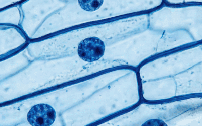 Specification Setting for Biopharmaceuticals: Expert Panel Discussion on Best Practices