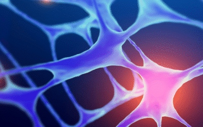 Advanced ELISA-MSâ„¢ for Host Cell Protein (HCP) coverage and ELISA Antibody Characterisation