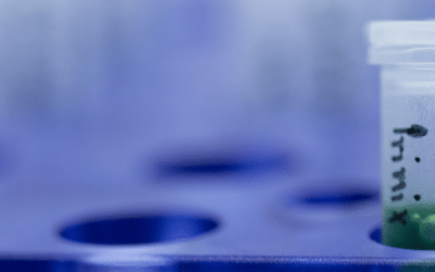 Improvement of Peak Integration in Capillary Electrophoresis: Reference Data Set No. 1