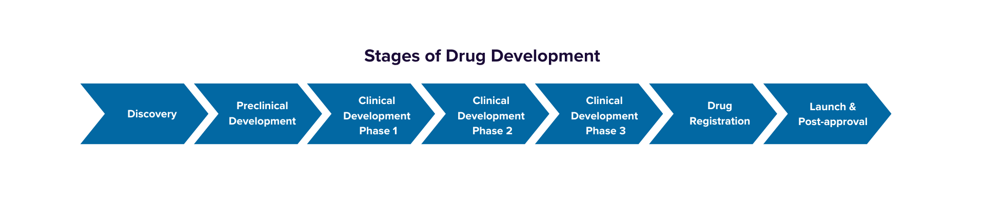 Stages of Drug Development