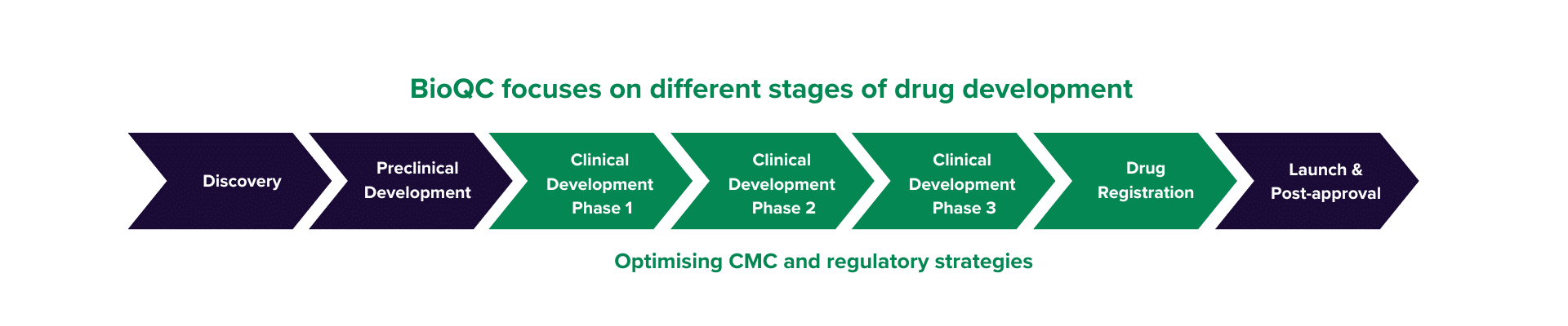 Stages of Drug Development