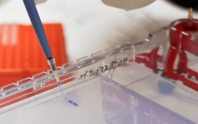 Rapid Platform icIEF Methods Development with AESlyte HR 5–10.5 for Diverse mAbs